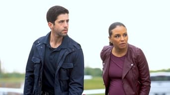 Episódio Diamantes São Eternos da série Turner e Hooch