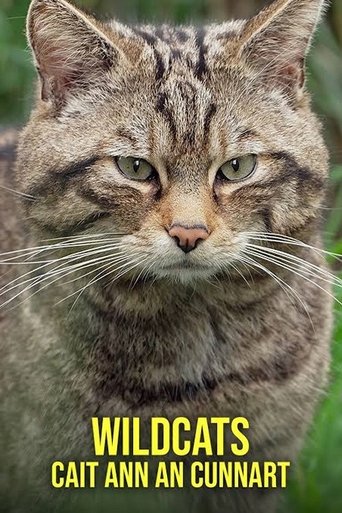 Wildcats: Cait ann an Cunnart: Season 1