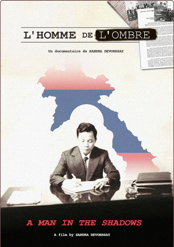 L'homme de l'ombre