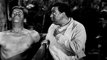Zombies on Broadway (1945)