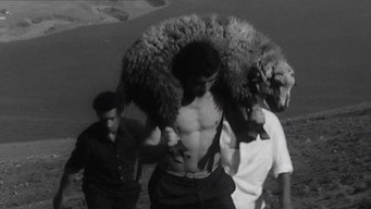 We (1969)