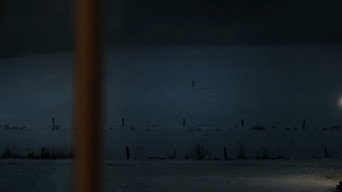 #34 Resident Evil: Оселя Зла