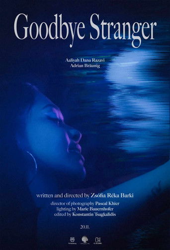 Goodbye Stranger