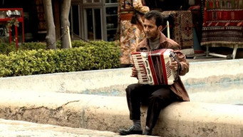 The Accordion (2010)