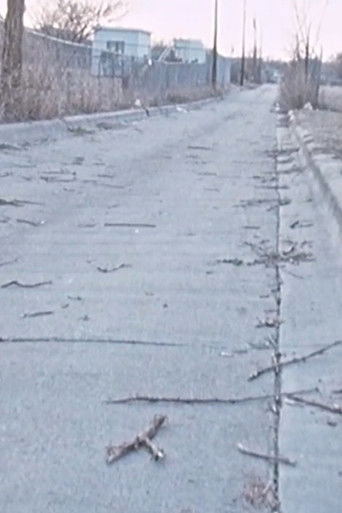 The Void Remembers poster