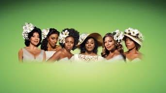 #3 Steel Magnolias