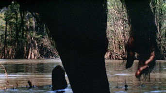 Still 8 from Creature from Black Lake