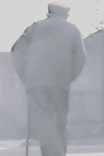 L'Infini Des Métamorphoses poster