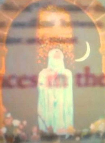 I Am The Shaman poster