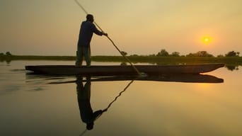 #1 Into The Okavango