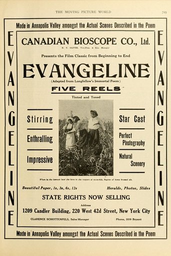 Evangeline (1914)