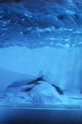 L'attacco col fuoco (Plagium 14)