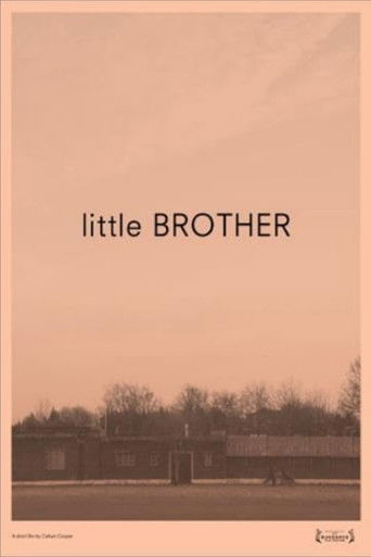 Cartell de Little Brother