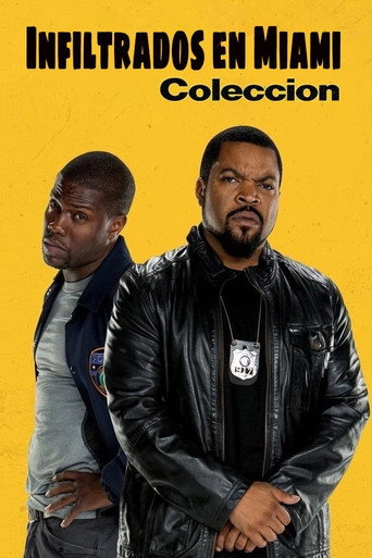 Infiltrados en Miami - Colección