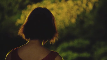 Соняшник (2000)