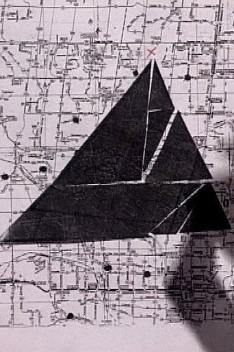 Not Flammable (2001)