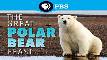 The Great Polar Bear Feast (2015)