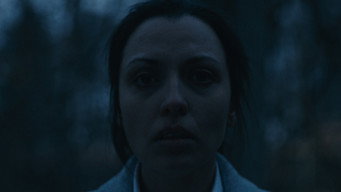 Vexier (2024)