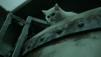 Кішка, що бачить мертвих (2011)
