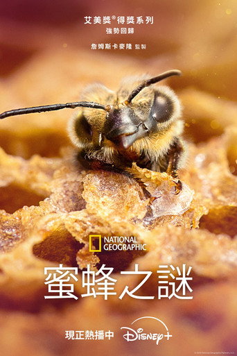 Los secretos de las abejas — Pósters 11