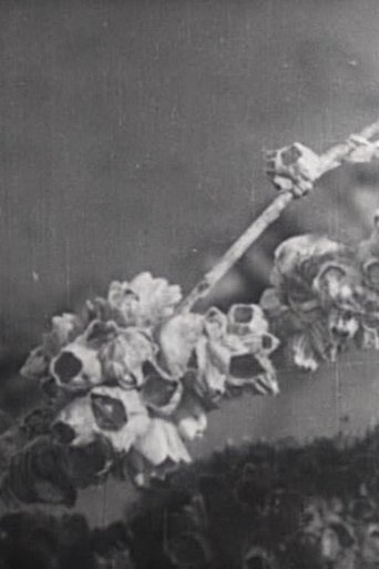 One day at the Tidelands (1940)