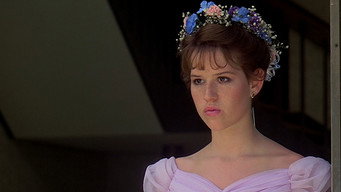 Sixteen Candles backdrop 7