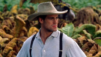 Episode 4 — Brother Love