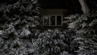 #59 Берлінський синдром
