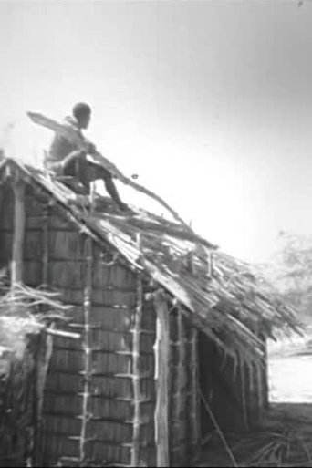 Pêche, bétail, tortues, coiffure chez les Vezo de Madagascar (1967)