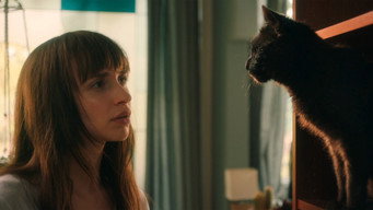 #6 Cat Call