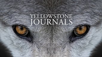 #4 Yellowstone Journals
