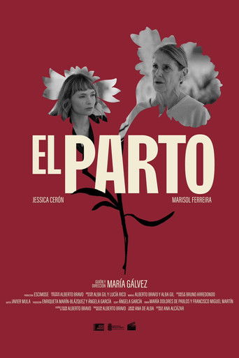 movie poster for El Parto
