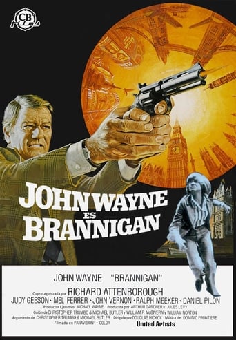 Poster of Brannigan