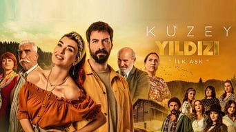 #1 Kuzey Yildizi