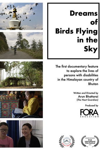 Dreams of Birds Flying in the Sky poster