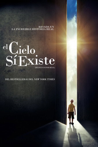 Póster de El cielo sí existe