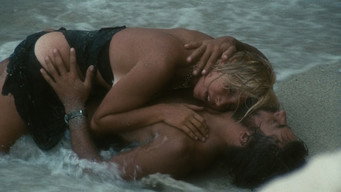 #5 Swept Away