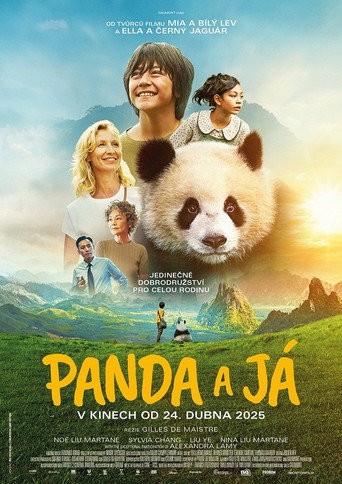 O Menino e o Panda — Pôsteres 14