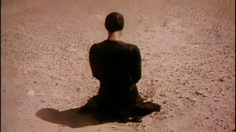 #11 Medea