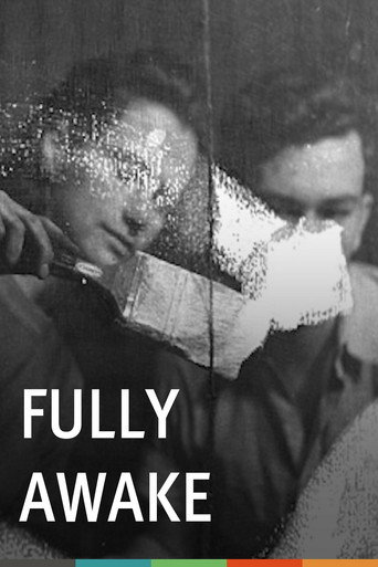 Fully Awake: Black Mountain College (2008)