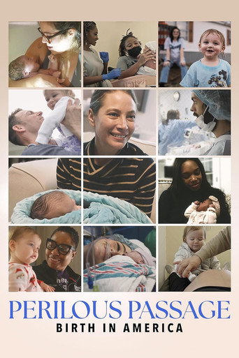 Perilous Passage: Birth in America (2026)