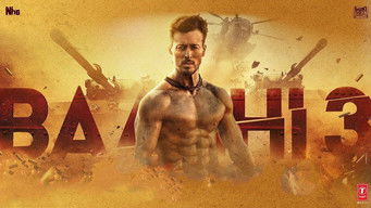 Galeria 4 - Baaghi 3
