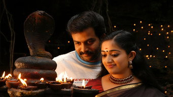 Still 1 from Anandabhadram