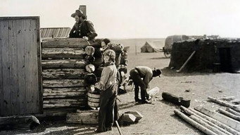 #5 The Pony Express