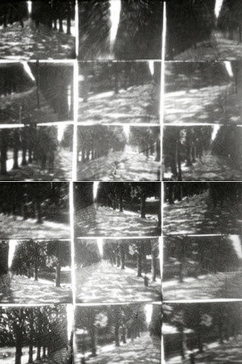 Simultanés/circostances 2. Jardin de plantes