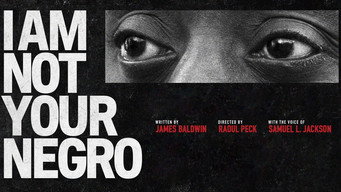 I Am Not Your Negro backdrop 8
