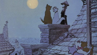 #19 Коти-аристократи