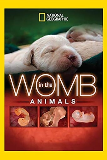 In The Womb: Animals en streaming 