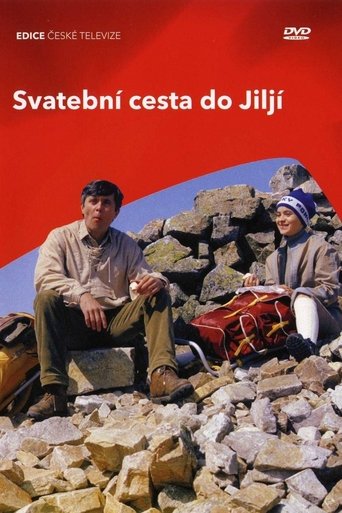 Poster of Svatební cesta do Jiljí