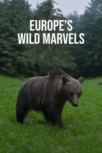 Europe's Wild Marvels (2025年)のポスター画像 - FindKey